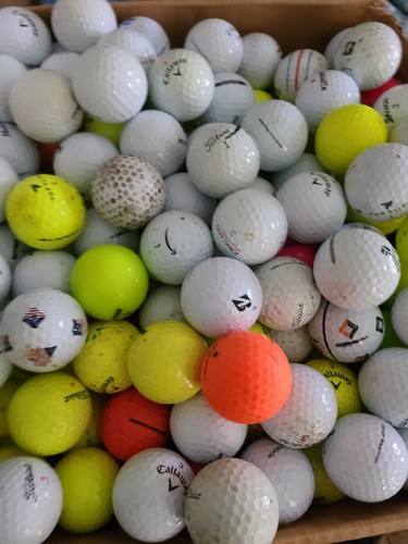 100 bulk shag - /practice, golf