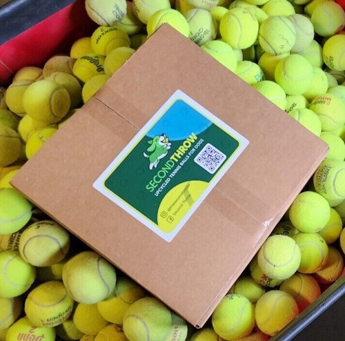 100 used tennis balls low - 100,