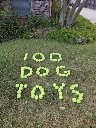 100 used tennis balls - tennis, great