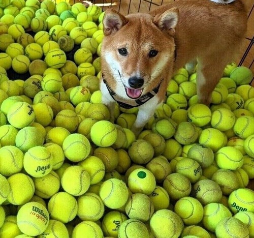 100 low cost - 100, balls